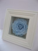 画像: ～メリアのフレーム～