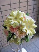 画像: ~ガーベラのパスタ~