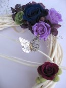 画像: ～ディプロマコース　入会金半額キャンペーン～