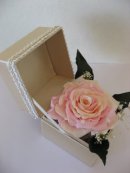 画像: ~ご結婚御祝に~