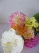 画像: ～白のハイビスカス～