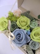 画像: ~ディプロマコースのレッスン~