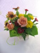 画像: ～体験レッスン～