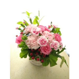 画像: フレッシュアレンジFA131