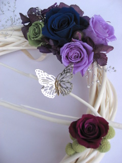 画像: ～ディプロマコース　入会金半額キャンペーン～