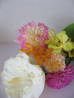 画像: ～白のハイビスカス～