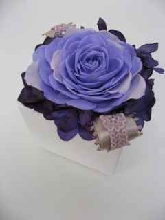 画像: ～こちらはパープル系～