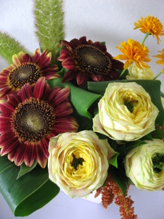 画像: ～変わったバラ～