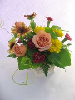 画像: ～体験レッスン～