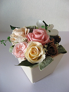 画像: ～生まれたばかりの赤ちゃん～